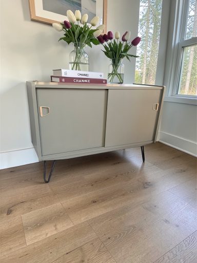 Mid-Century Schrank „Olivgrün-Modern“ Ein elegantes, graues Sideboard mit zwei Türen und dekorativen Blumenvasen.